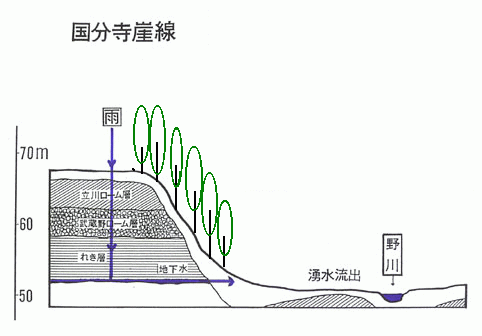 国分寺崖線の断面図