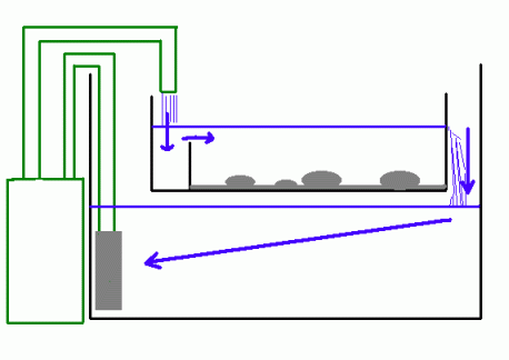 ホタルの飼育水槽（幼虫用）図説